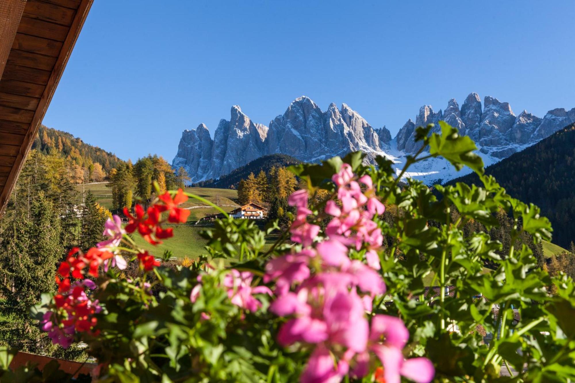 Hotel Tyrol فونيس المظهر الخارجي الصورة