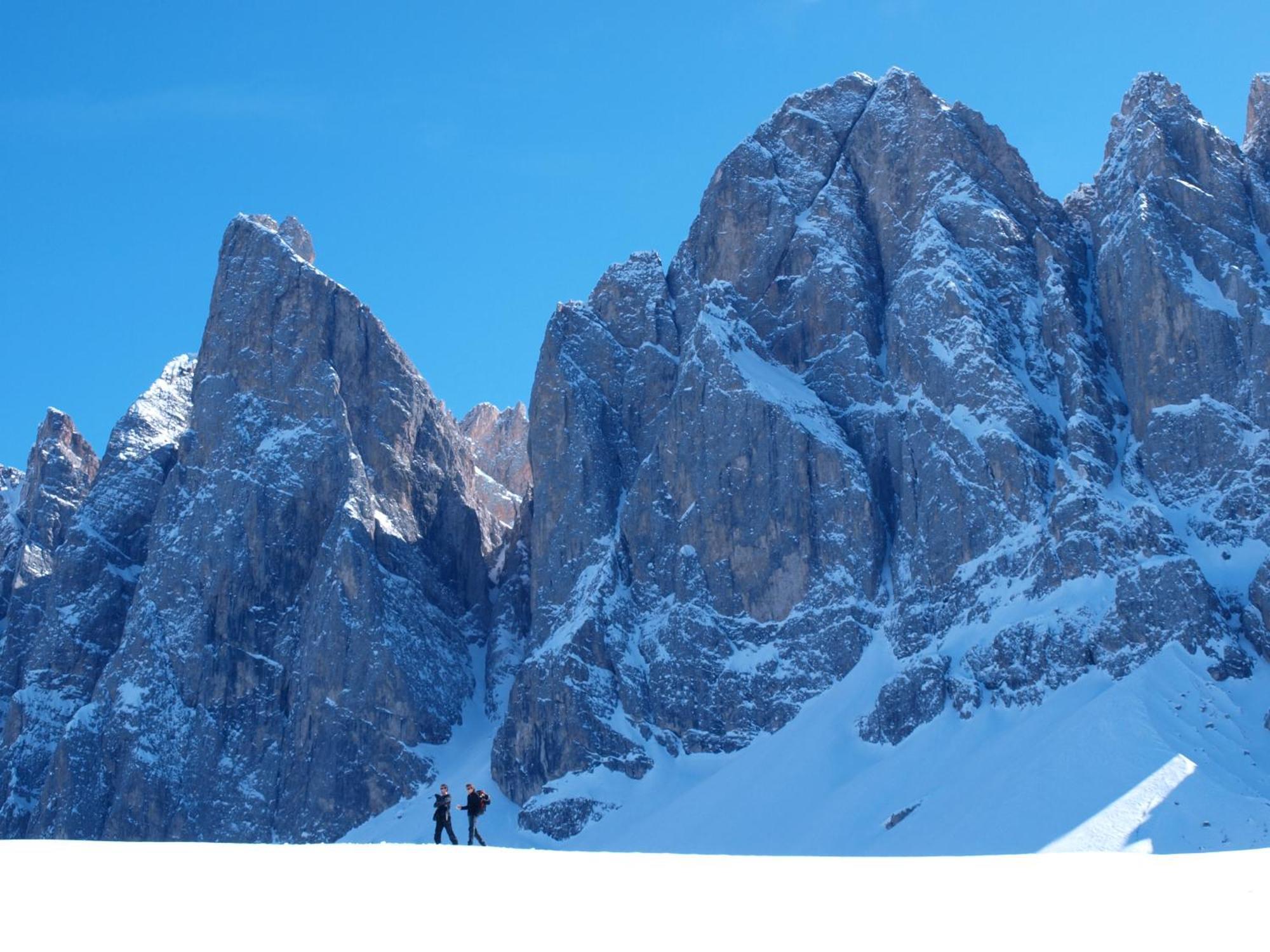 Hotel Tyrol فونيس المظهر الخارجي الصورة